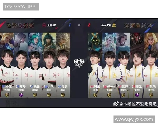 深入分析JDG战队的实力与战术布局在王者荣耀中的表现与影响